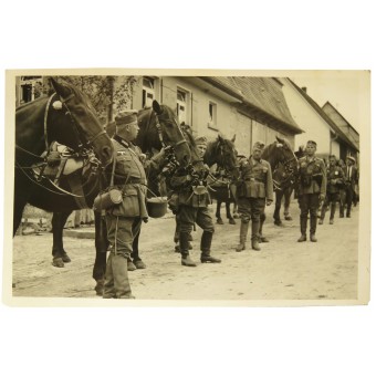 Wehrmacht cavalry soldiers with horses.. Espenlaub militaria